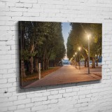 1970007_050 (BNR 275)